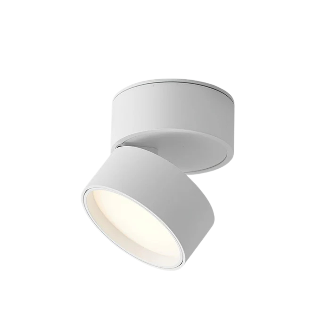Luminexis - Nastavitelný LED stropní svítidlo 1 světlo