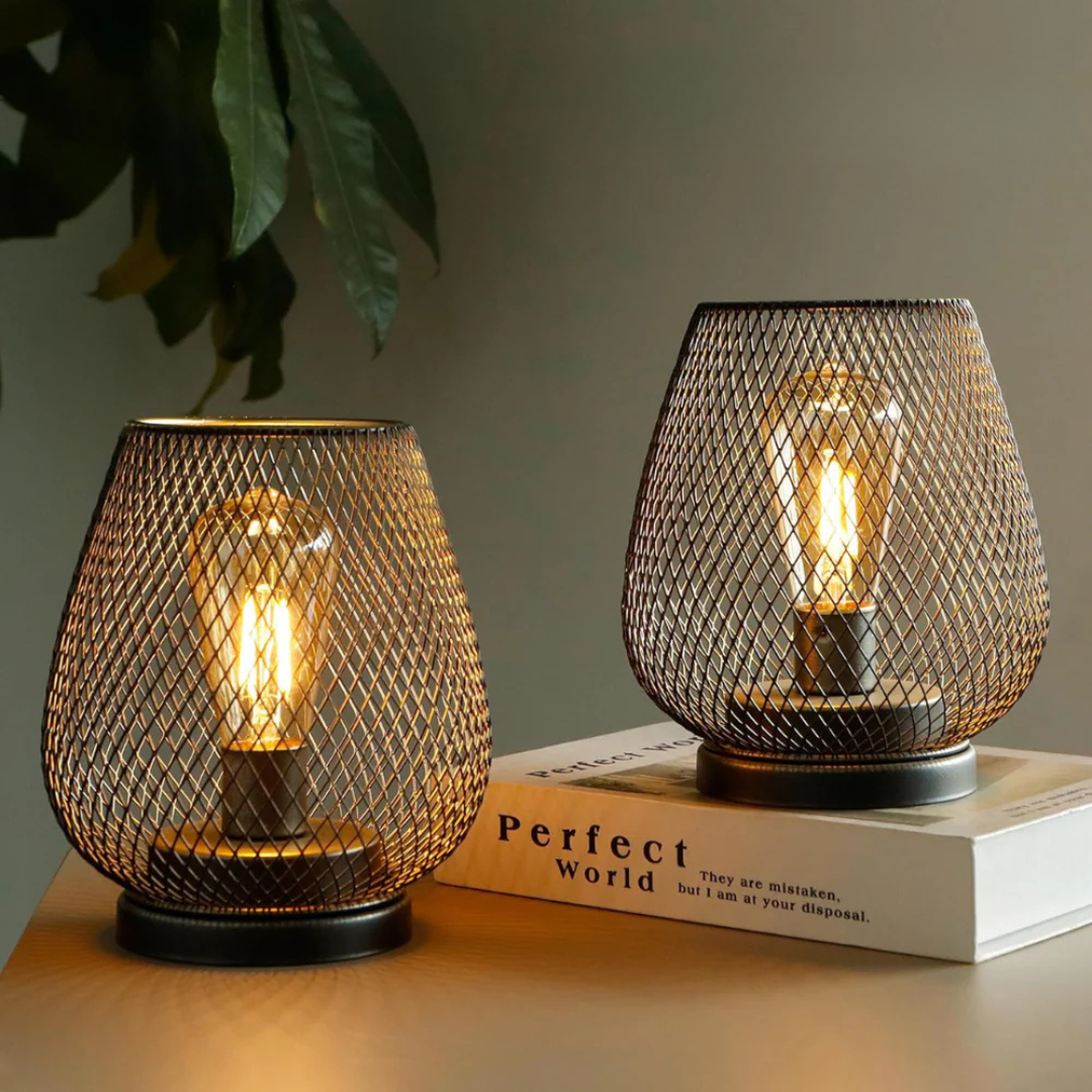 Lidara - Portable Wireless LED Table Lamp