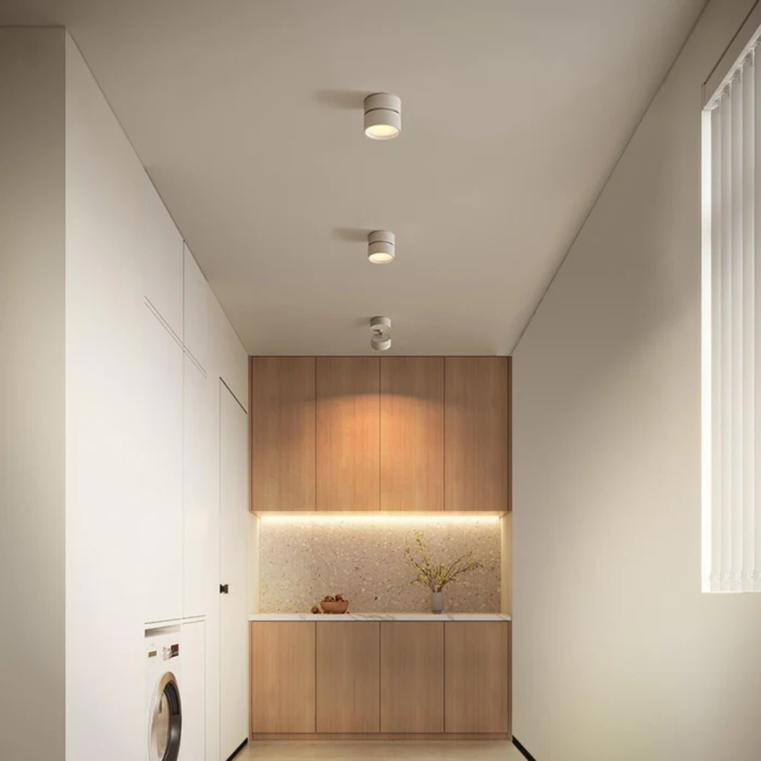 Luminexis - Nastavitelný LED stropní svítidlo 1 světlo