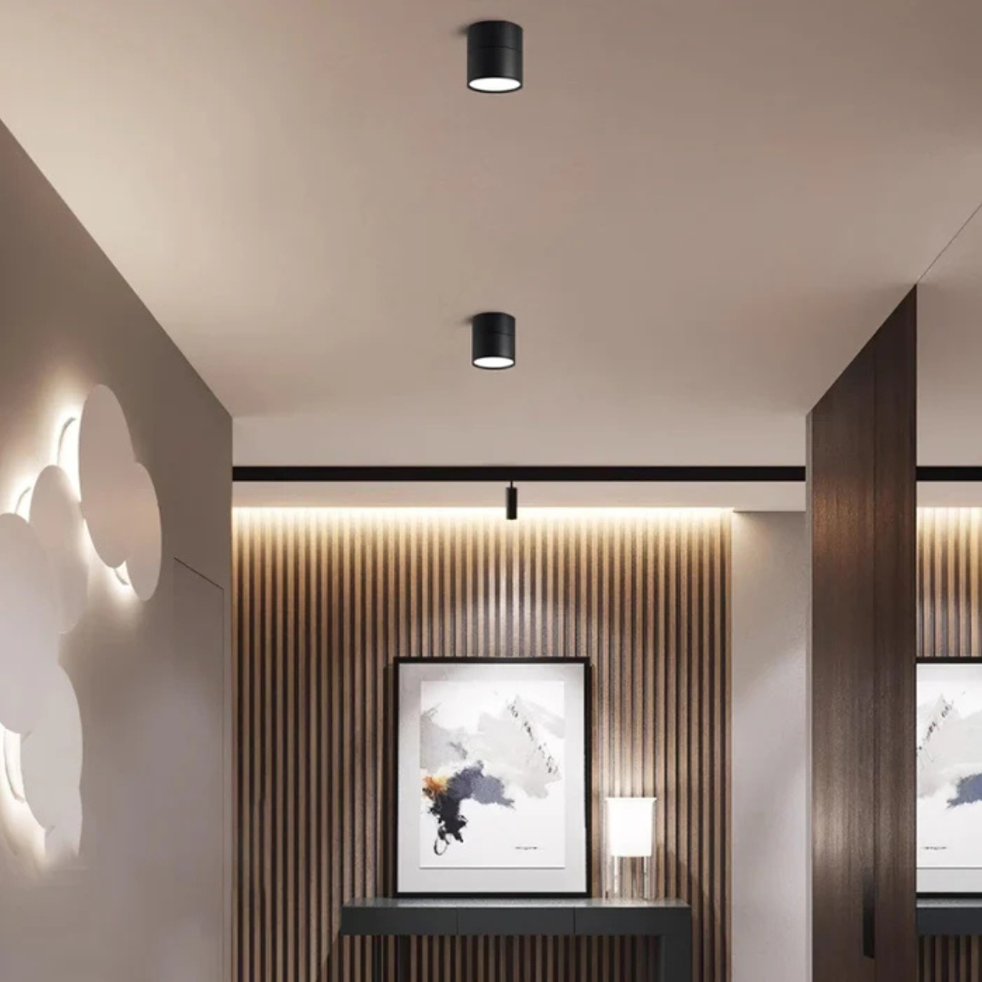 Luminexis - Nastavitelný LED stropní svítidlo 1 světlo