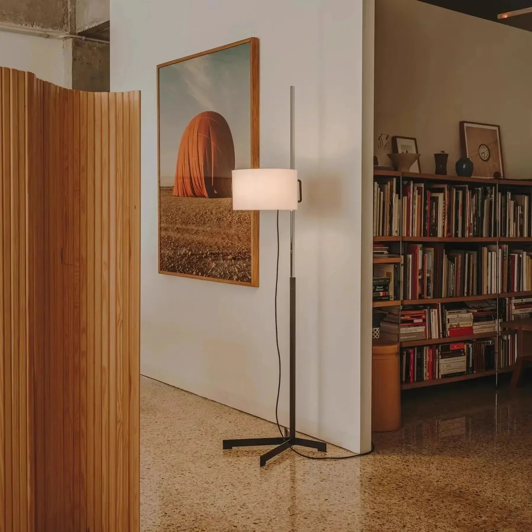 Zeyra – Black Modern Floor Lamp