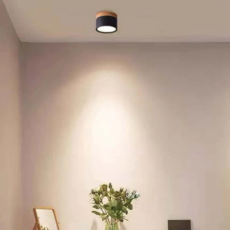 Dioren – Lámpara de techo LED moderna