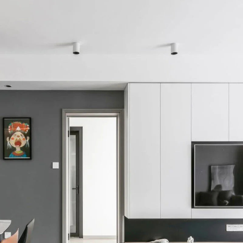 Ellivar – Egyszerű felületre szerelhető mennyezeti lámpa