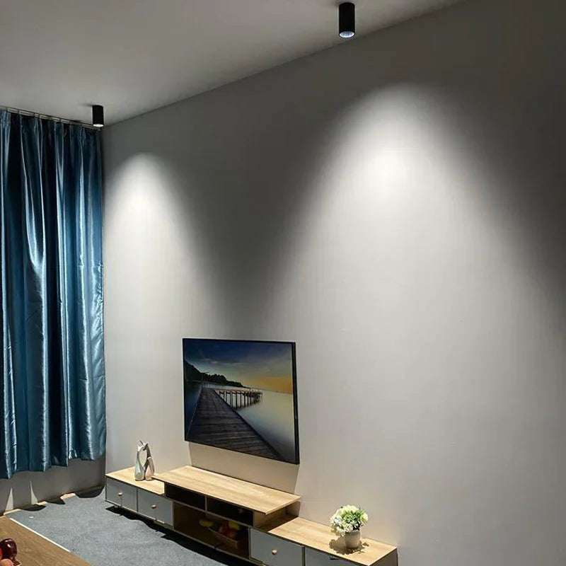 Ellivar – Egyszerű felületre szerelhető mennyezeti lámpa