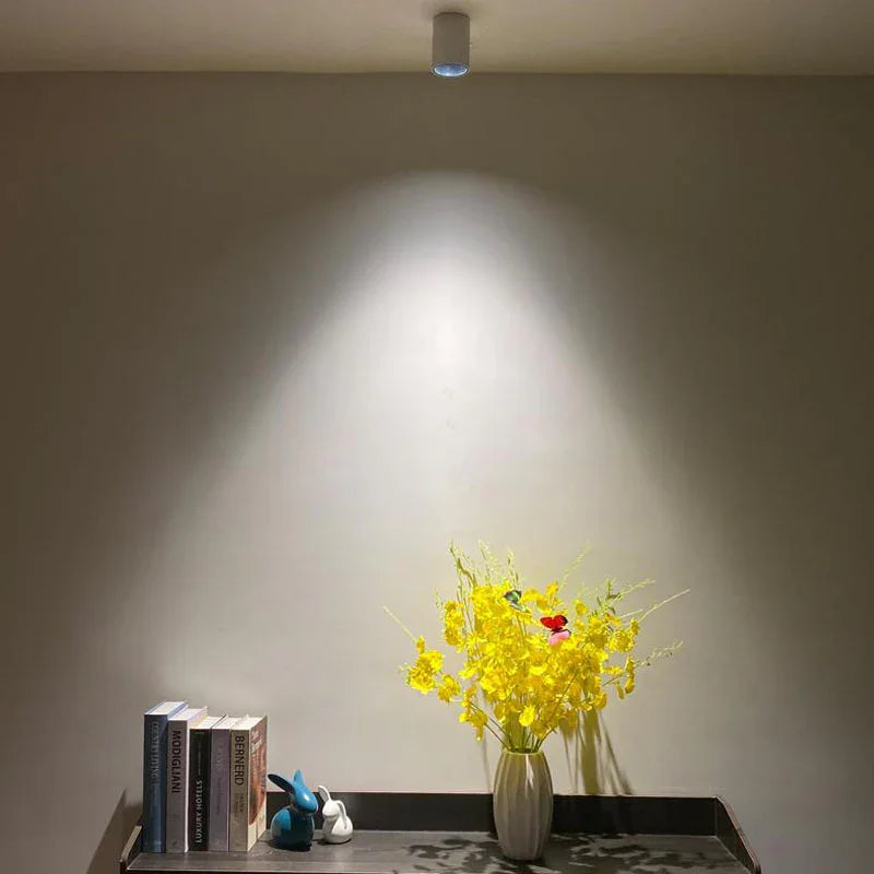 Ellivar – Egyszerű felületre szerelhető mennyezeti lámpa