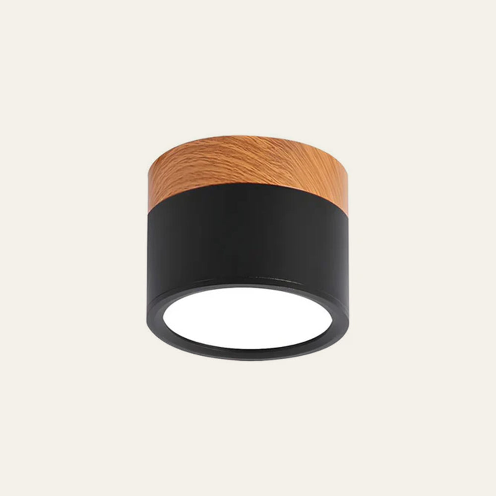 Braylix - Compact LED Flush Mount Ceiling Light