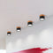 Braylix - Compact LED Flush Mount Ceiling Light