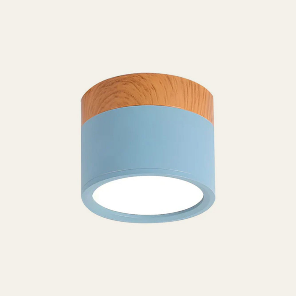 Braylix - Compact LED Flush Mount Ceiling Light