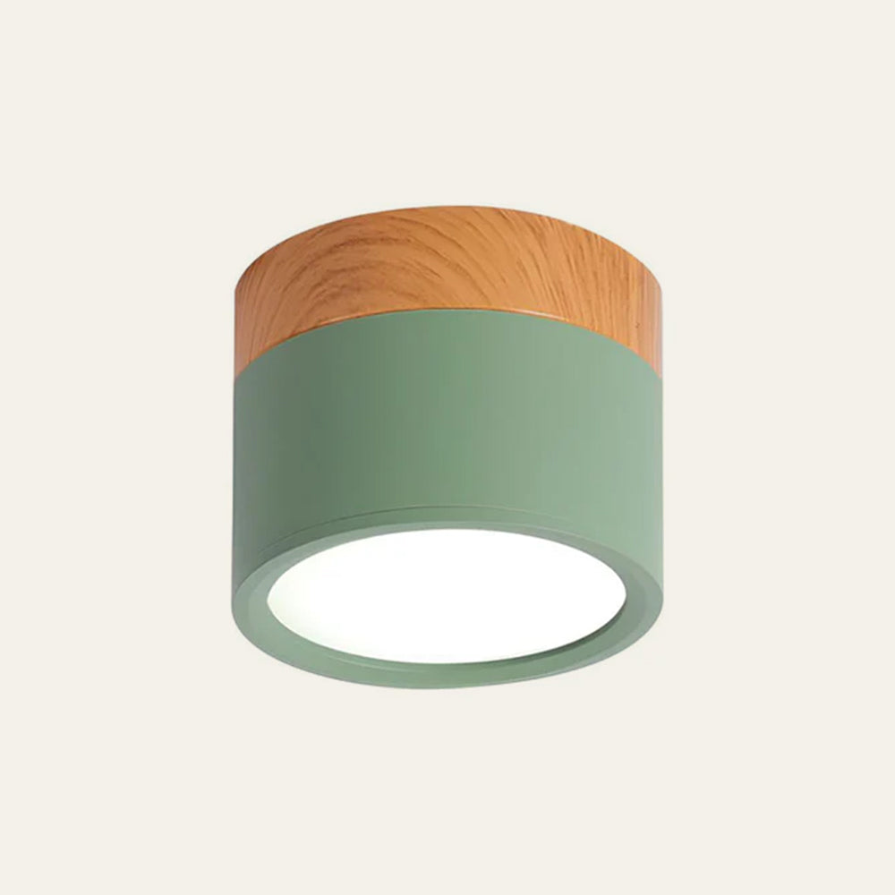 Braylix - Compact LED Flush Mount Ceiling Light
