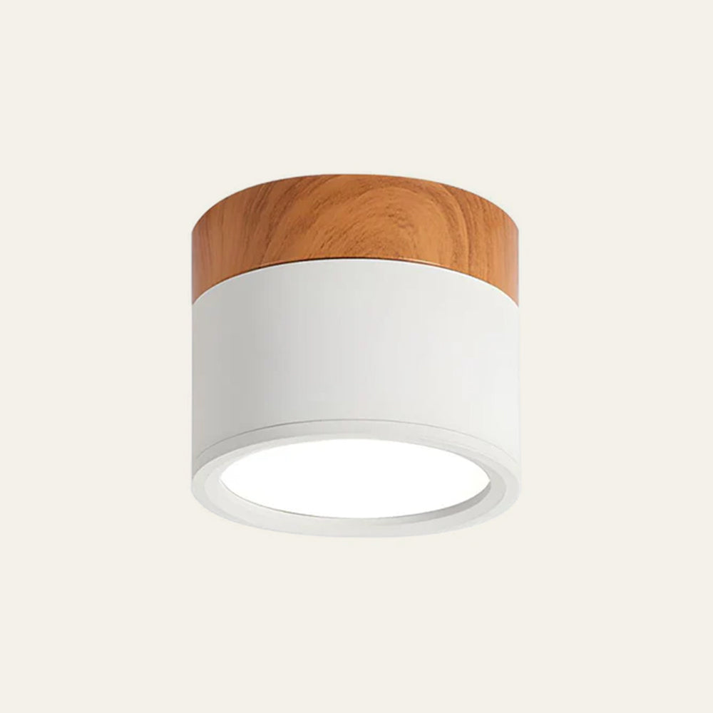Braylix - Compact LED Flush Mount Ceiling Light