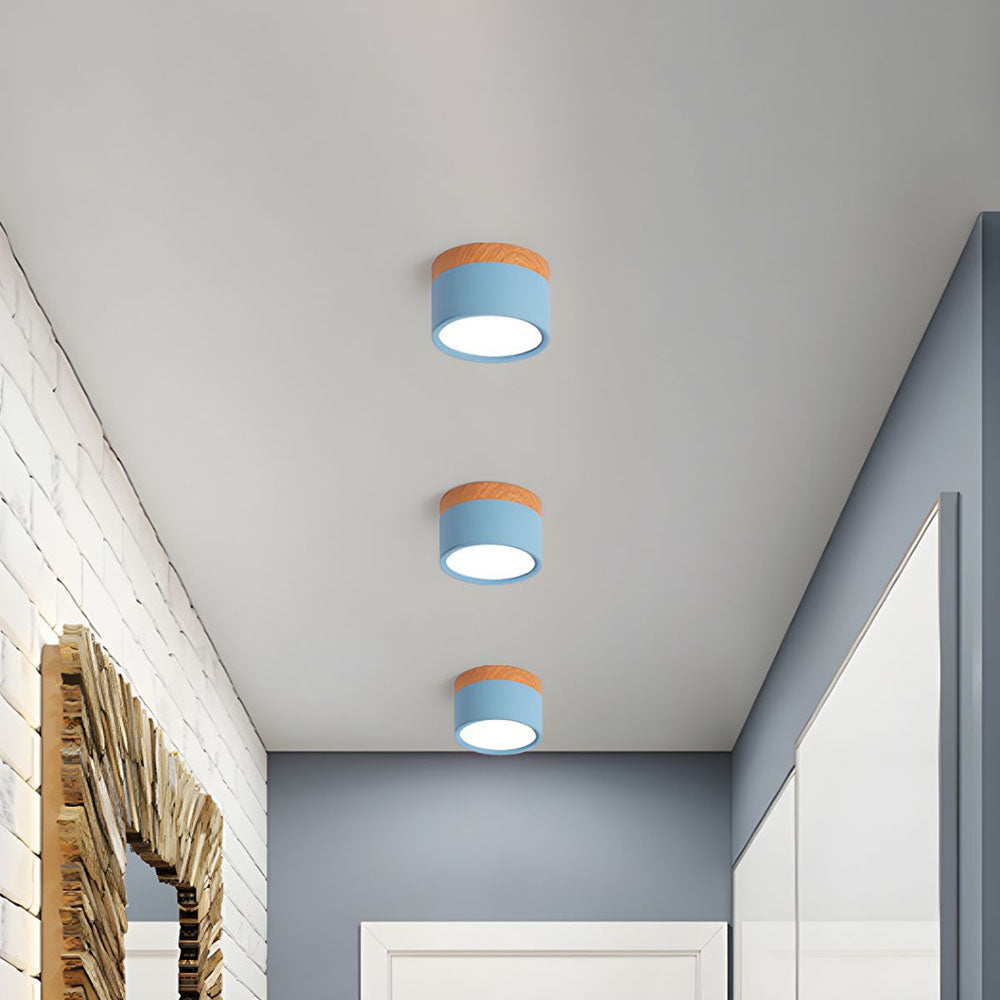 Braylix - Compact LED Flush Mount Ceiling Light