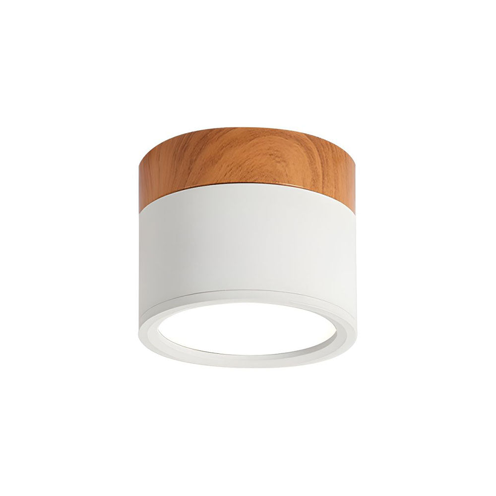 Braylix - Compact LED Flush Mount Ceiling Light