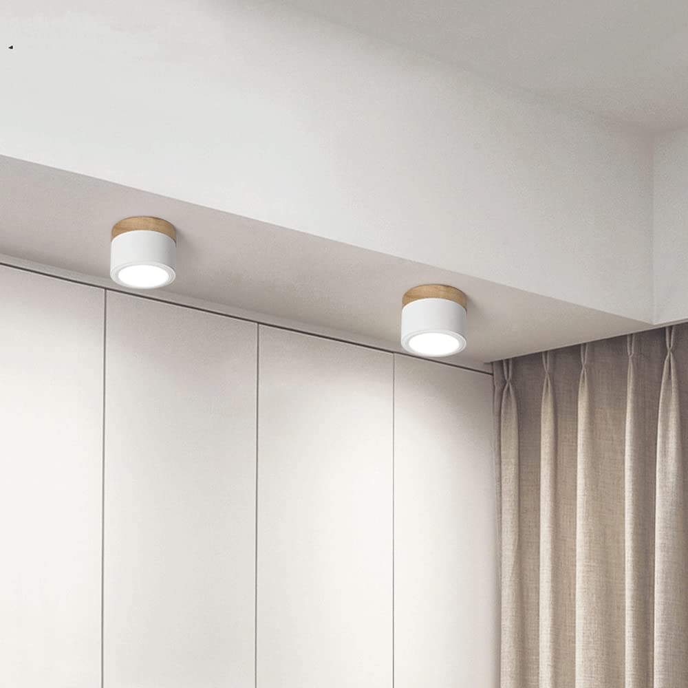 Braylix - Compact LED Flush Mount Ceiling Light