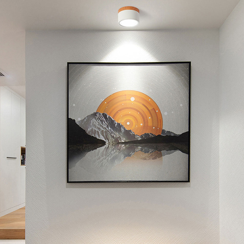 Braylix - Compact LED Flush Mount Ceiling Light