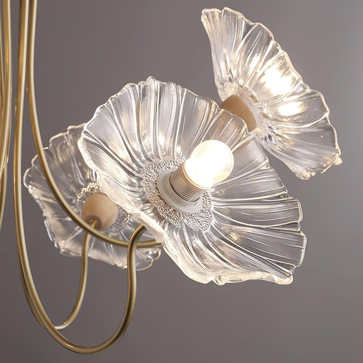 Aloura – Blossom of Light Glass Chandelier