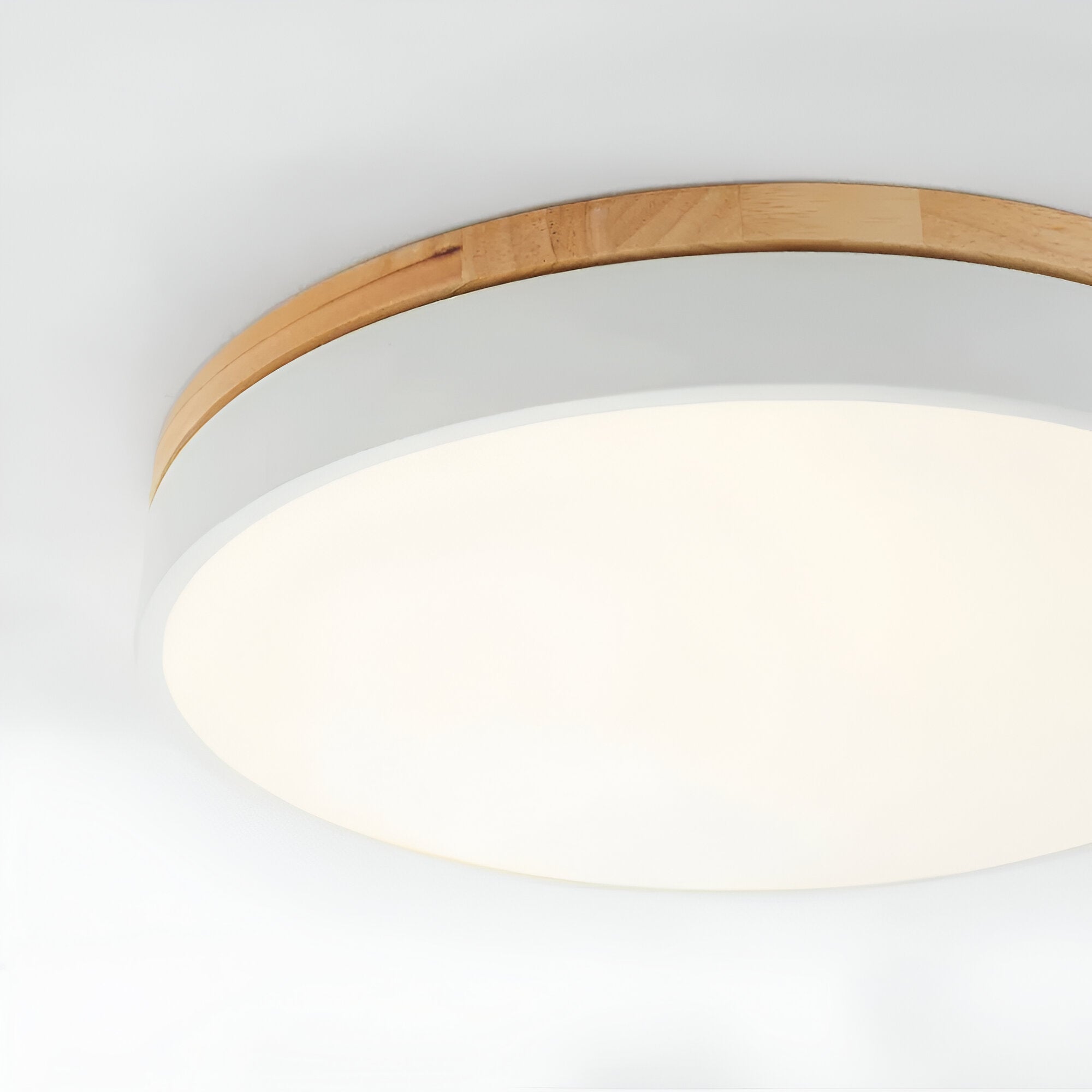 Cirquelle – Plafoniera Rotonda Nordica a LED con Diffusore in Acrilico