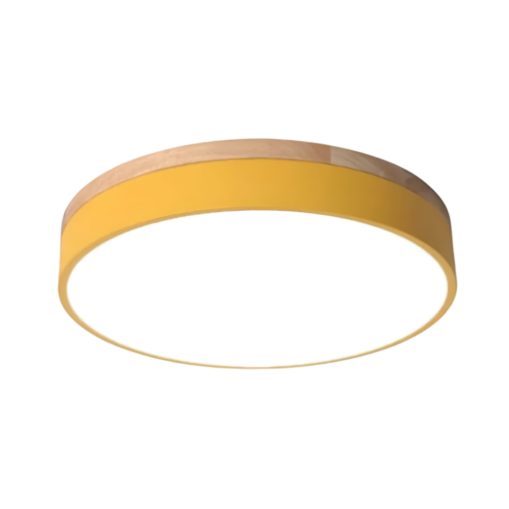 Cirquelle – Plafoniera Rotonda Nordica a LED con Diffusore in Acrilico