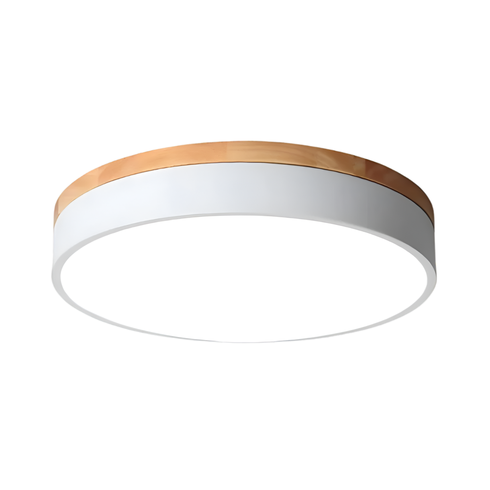Cirquelle – Plafoniera Rotonda Nordica a LED con Diffusore in Acrilico