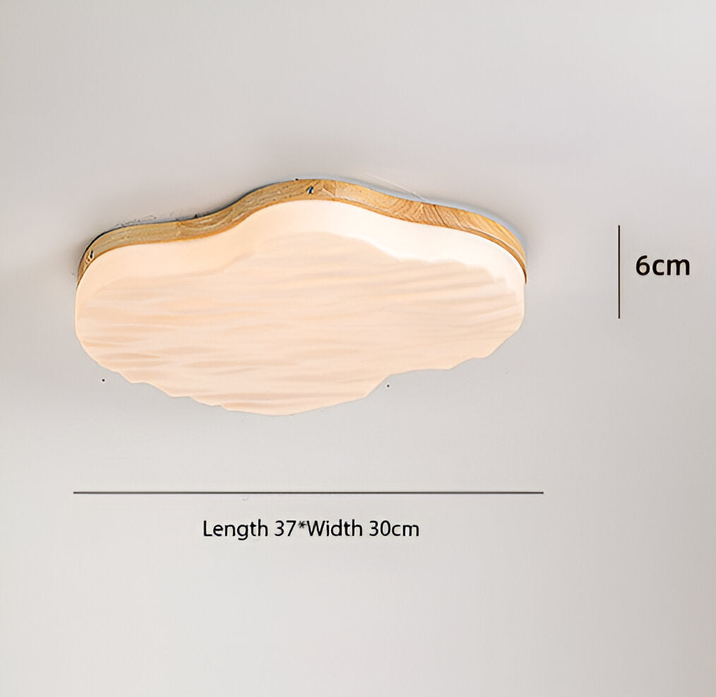 Retrona – Lámpara de Techo de Acrílico Estilo Retro