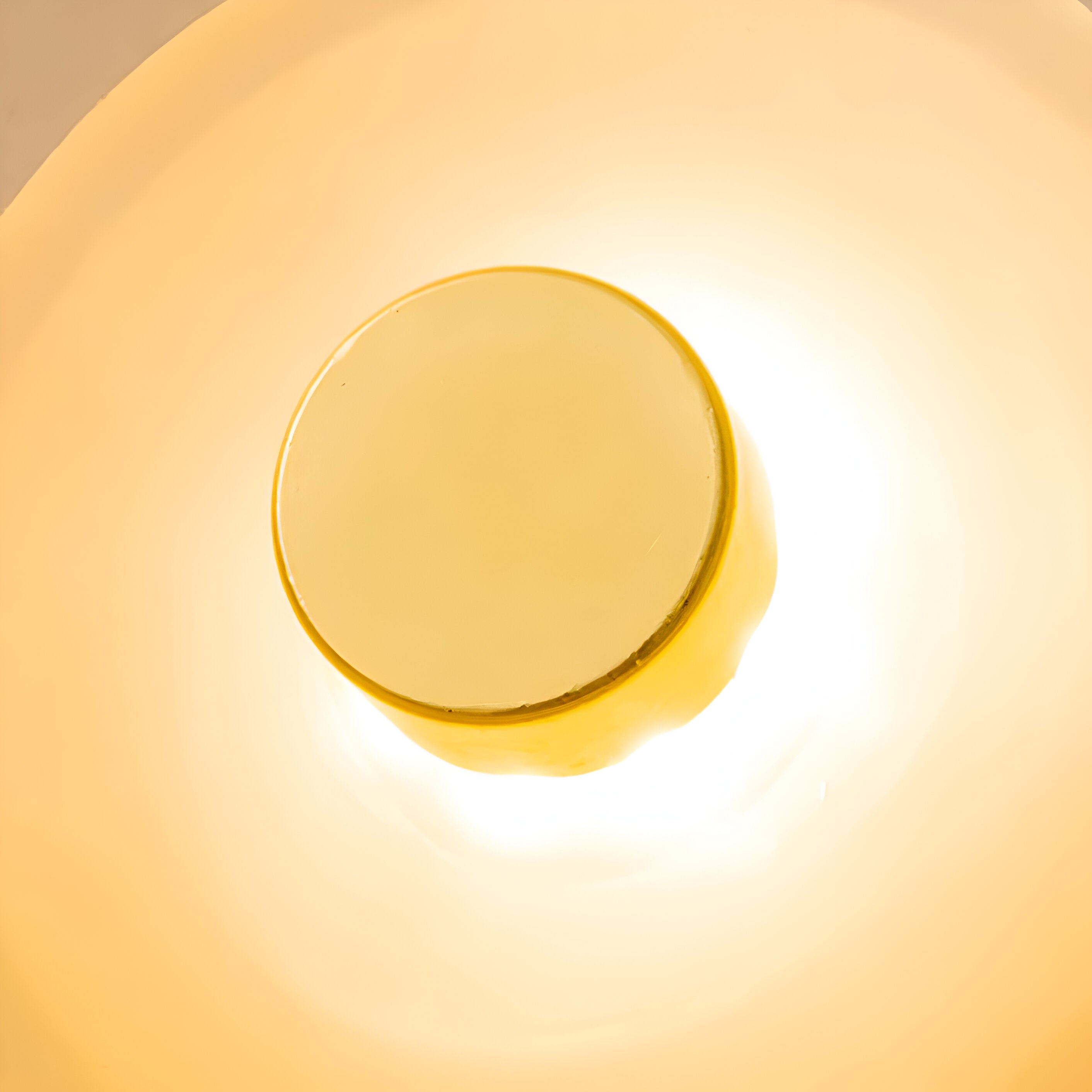 Velunae - Applique murale LED en verre courbé nordique style Japandi