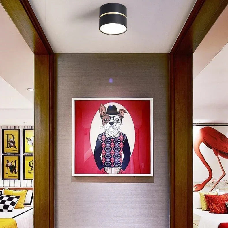 Theonelle – Egyszerű, felületre szerelhető mennyezeti lámpa